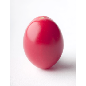 POMIDOR ROZESTAR GSPP 500N STD