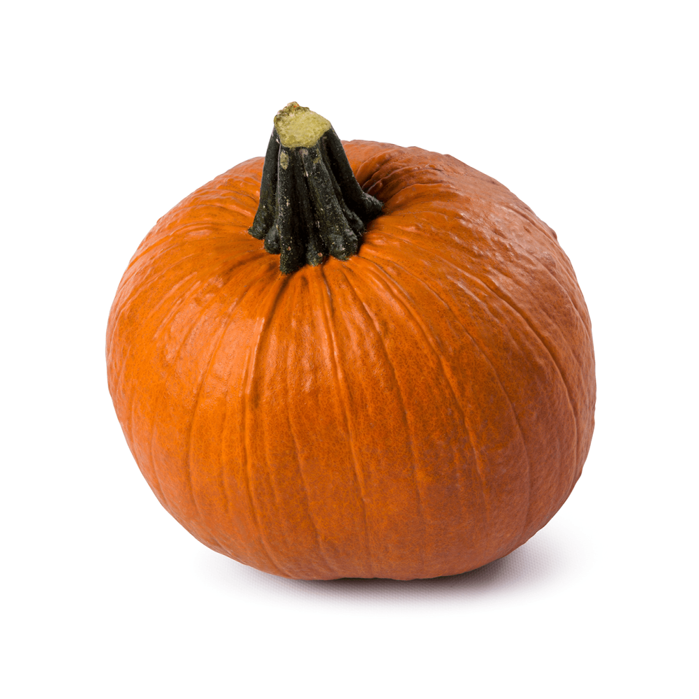 DYNIA FLYNN F1 500 NAS ST