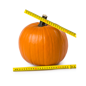 DYNIA TERRAFIN 500N STD