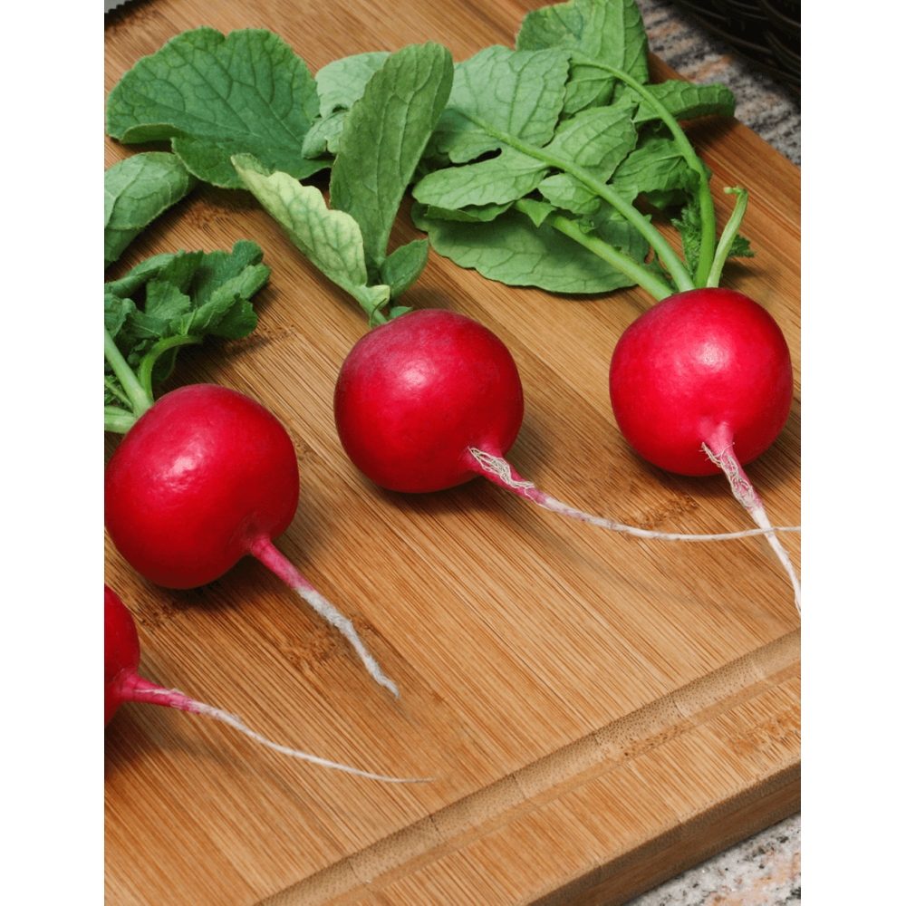 RZODKIEWKA CRUNCHY KING 10T STD