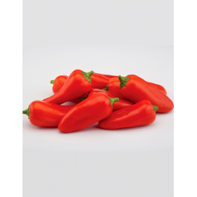 PAPRYKA SUNAKKU ICHIGO 500N STD