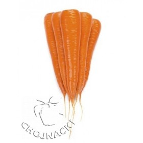 MARCHEW WOLIN PRECYZYJNE 100 TYS 2,0-2,2 STD