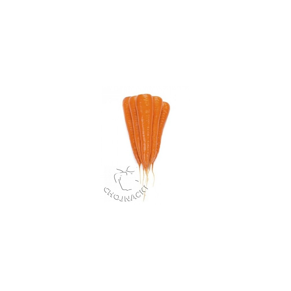 MARCHEW WOLIN PRECYZYJNE 100 TYS 2,0-2,2 STD