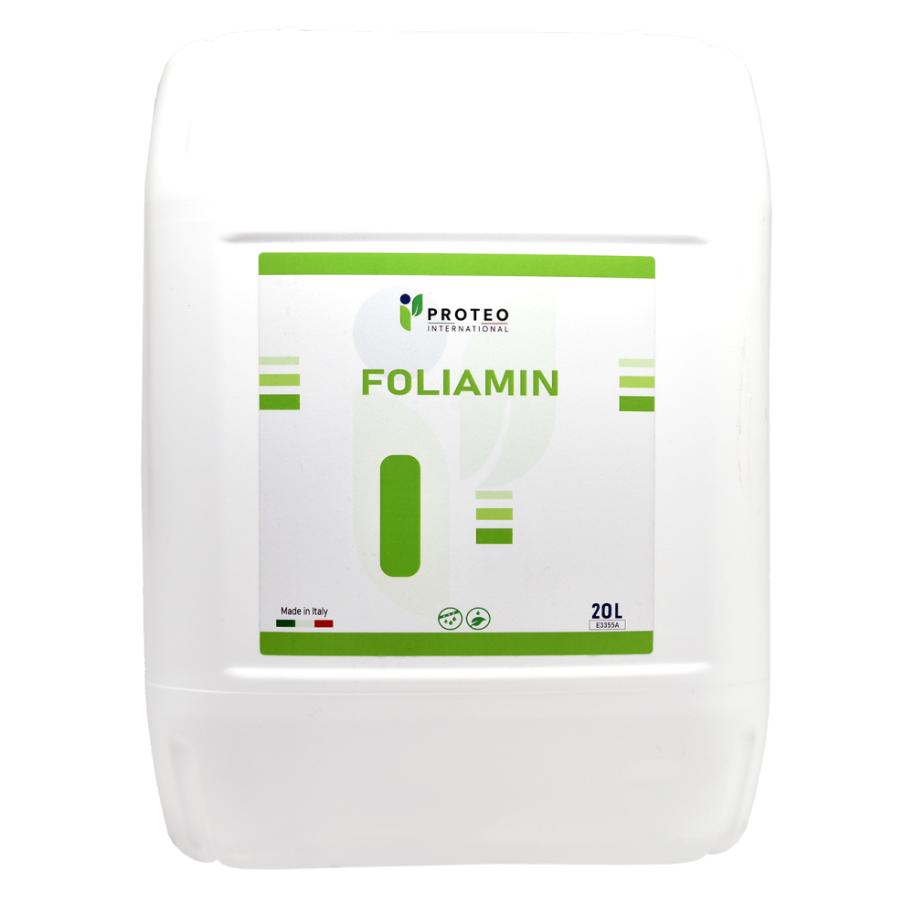 FOLIAMIN 20L