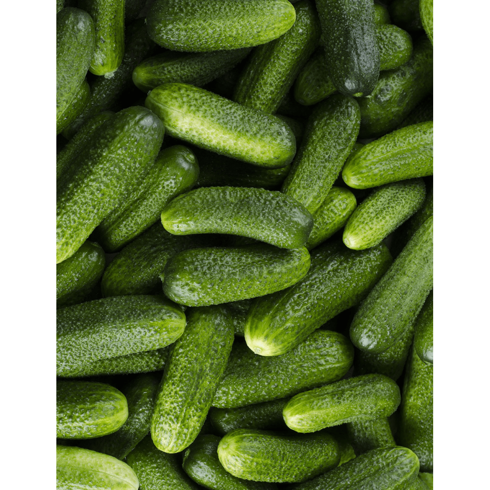 Ogórek gruntowy Śremski 250gr