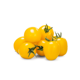 POMIDOR TOBRANGE 500N ST