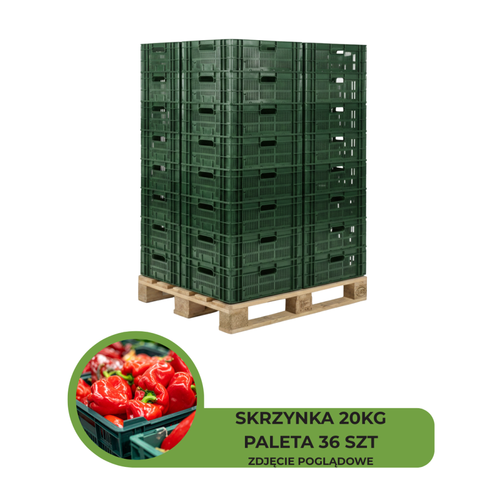 SKRZYNKA POJEMNIK TYP OZS2 20KG ZIELONA PALETA 36 SZTUK