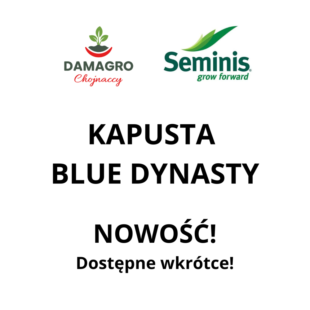 KAPUSTA BLUE DYNASTY 2,5T ST