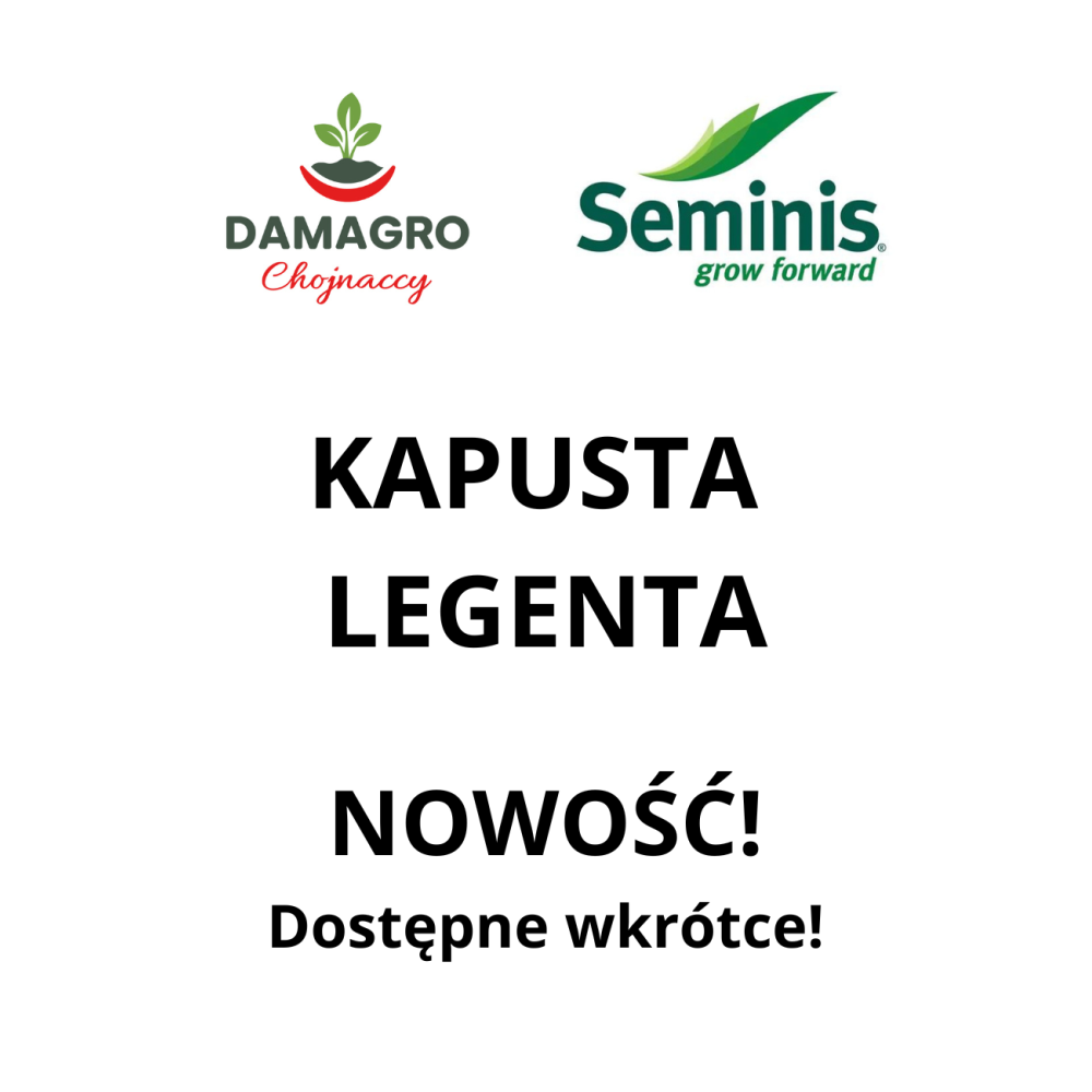 KAPUSTA LEGENTA (3506) 2,5T ST