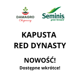 KAPUSTA RED DYNASTY 2,5T ST