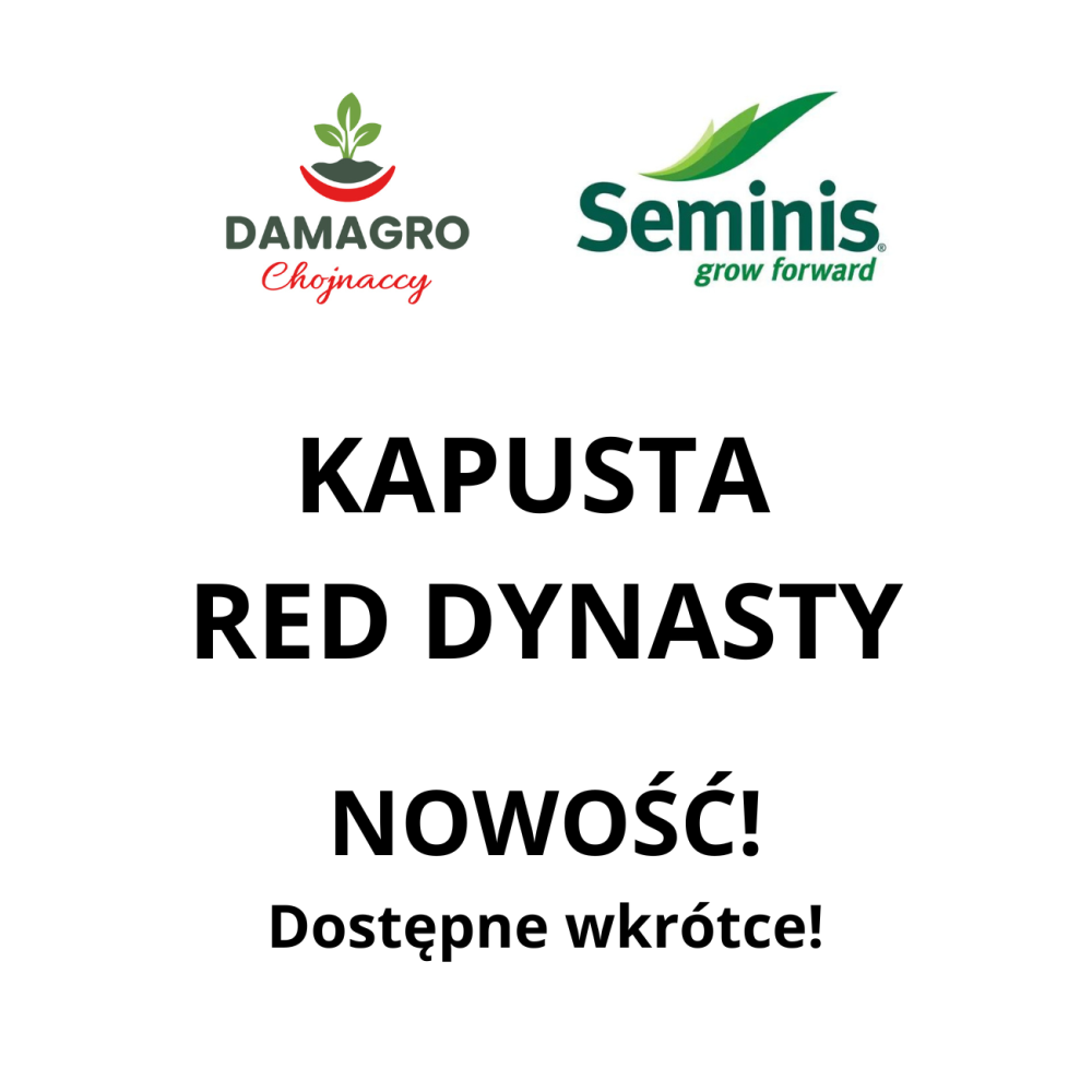 KAPUSTA RED DYNASTY 2,5T ST