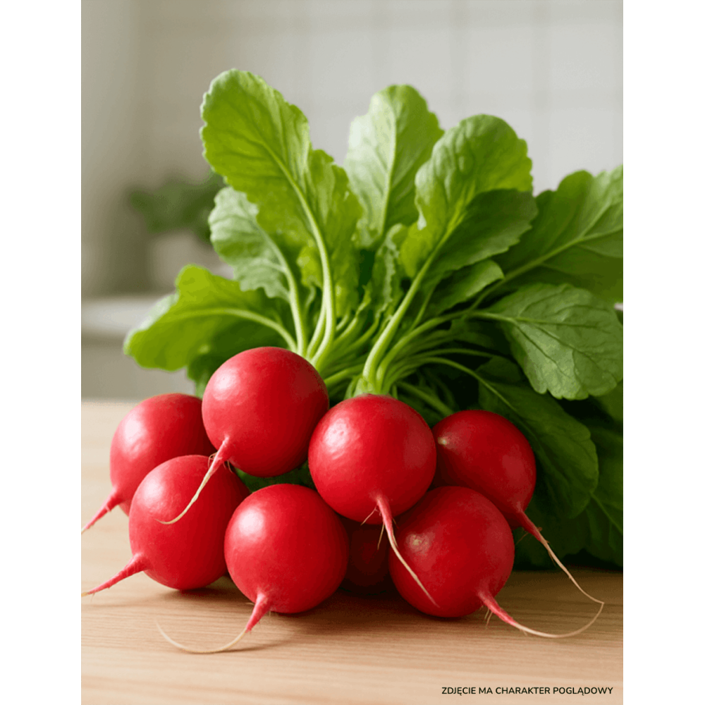 RZODKIEWKA GLORIETTE 10T STD