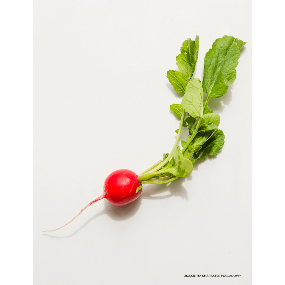 RZODKIEWKA MISATO RED 50GR STD