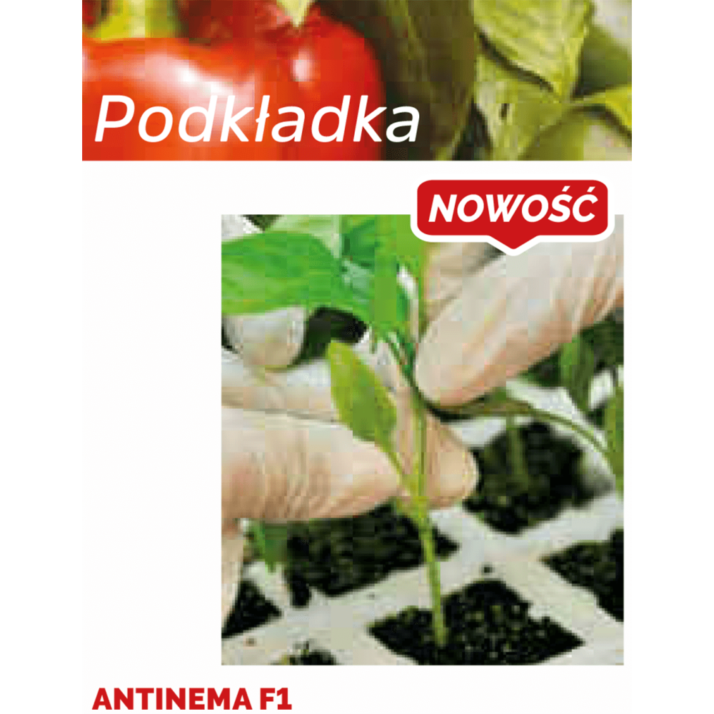 PODKŁADKA PAPRYKI ANTINEMA F1 500N STD