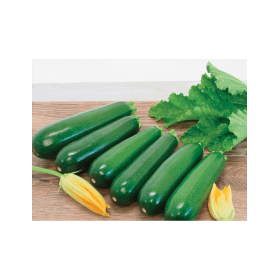 CUKINIA RENEGADE 250N ST