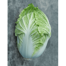 KAPUSTA PEKIŃSKA NATSUKI F1 2,5T STD