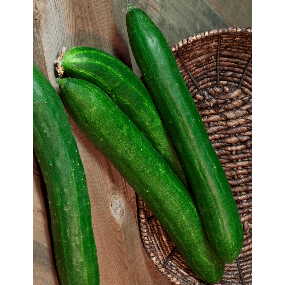 OGÓREK BURPLESS TASTY GREEN 100G STD