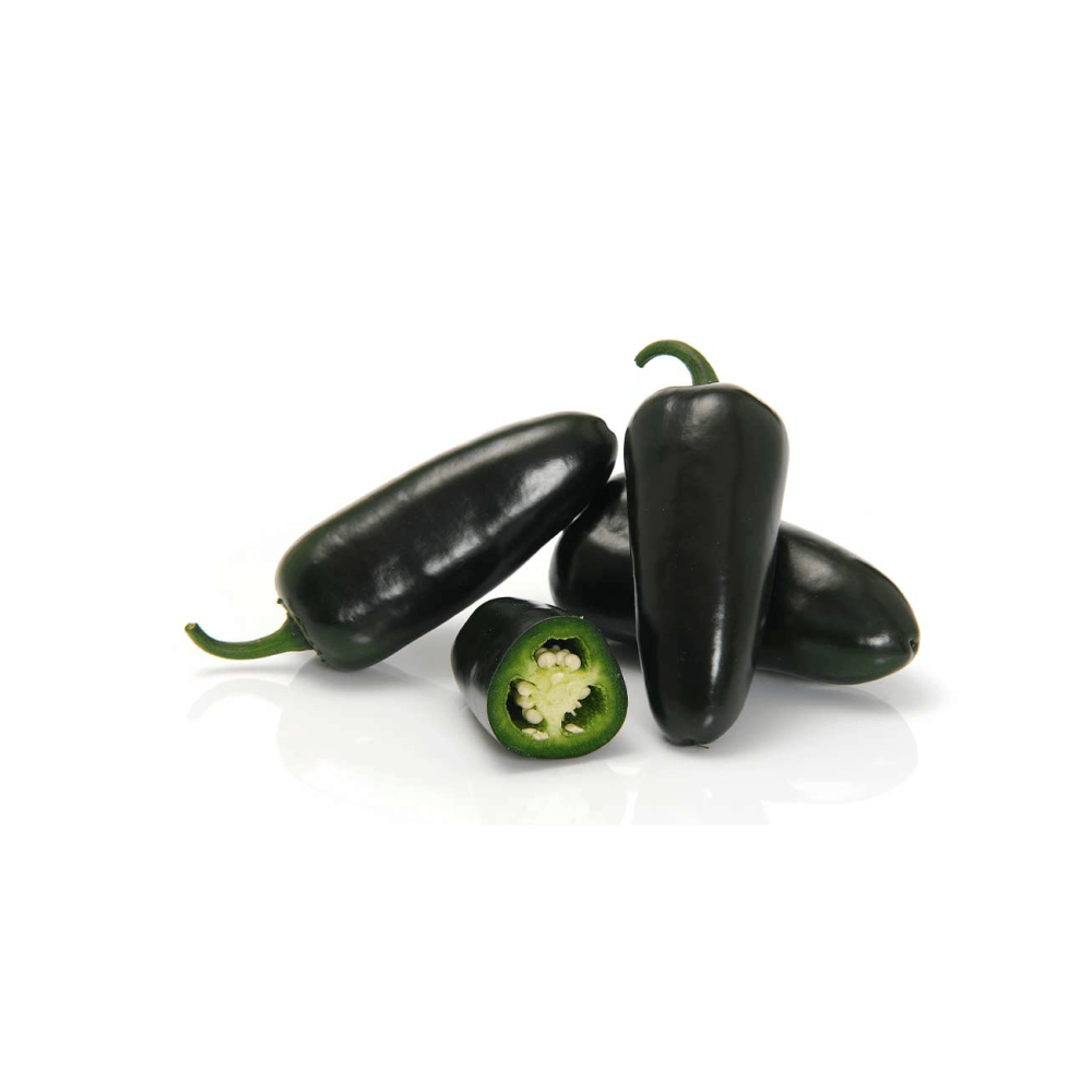 PAPRYKA BLACK BULLET 500N STD