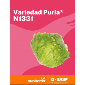 SAŁATA PURIA 5 TYS. OTOCZKA F1 ST