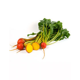 BURAK CZERWONY GOLDEN EYE 50T