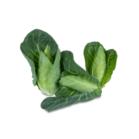 KAPUSTA CAPE ROCA 2,5T STD