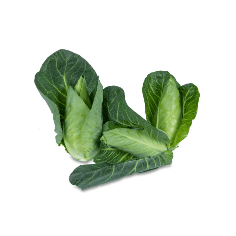 KAPUSTA CAPE ROCA 2,5T STD