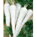 PIETRUSZKA KORZENIOWA SAMBA 500G ST