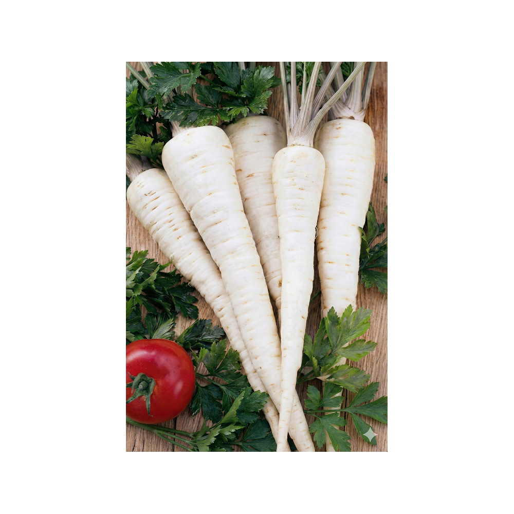 PIETRUSZKA KORZENIOWA KINGA 500G