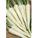 PIETRUSZKA KORZENIOWA SONATA 100G ST