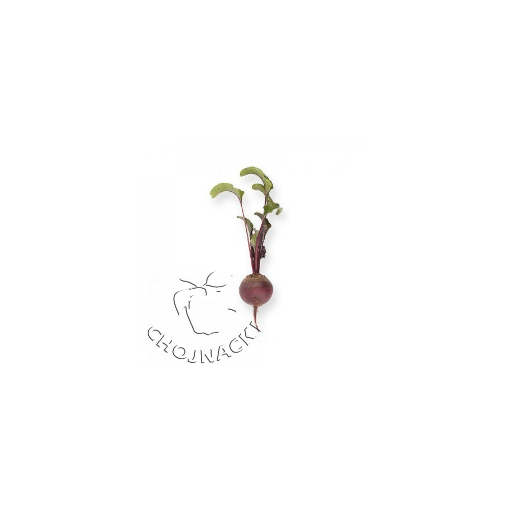 BURAK PRECYZYJNY MONTY 4,25-5,0 MM RZ F1 25 TYS ST