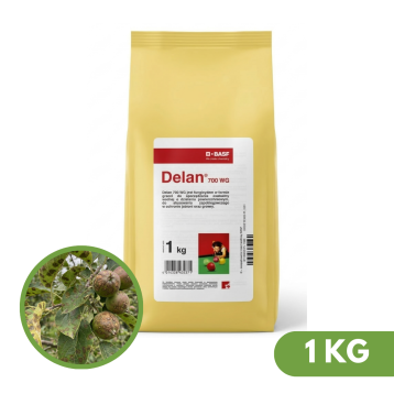 DELAN 700WG 1KG