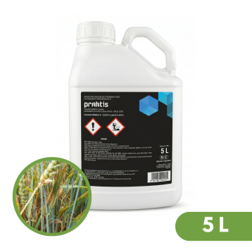 PRAKTIS 5L
