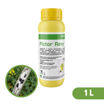 PICTOR REVY 1L