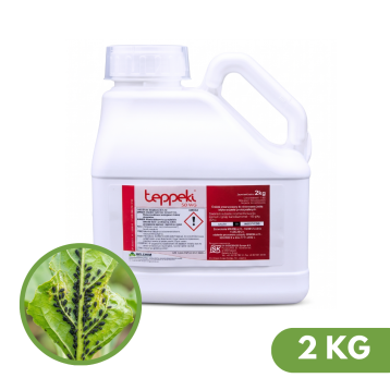 TEPPEKI 50 WG 2 KG