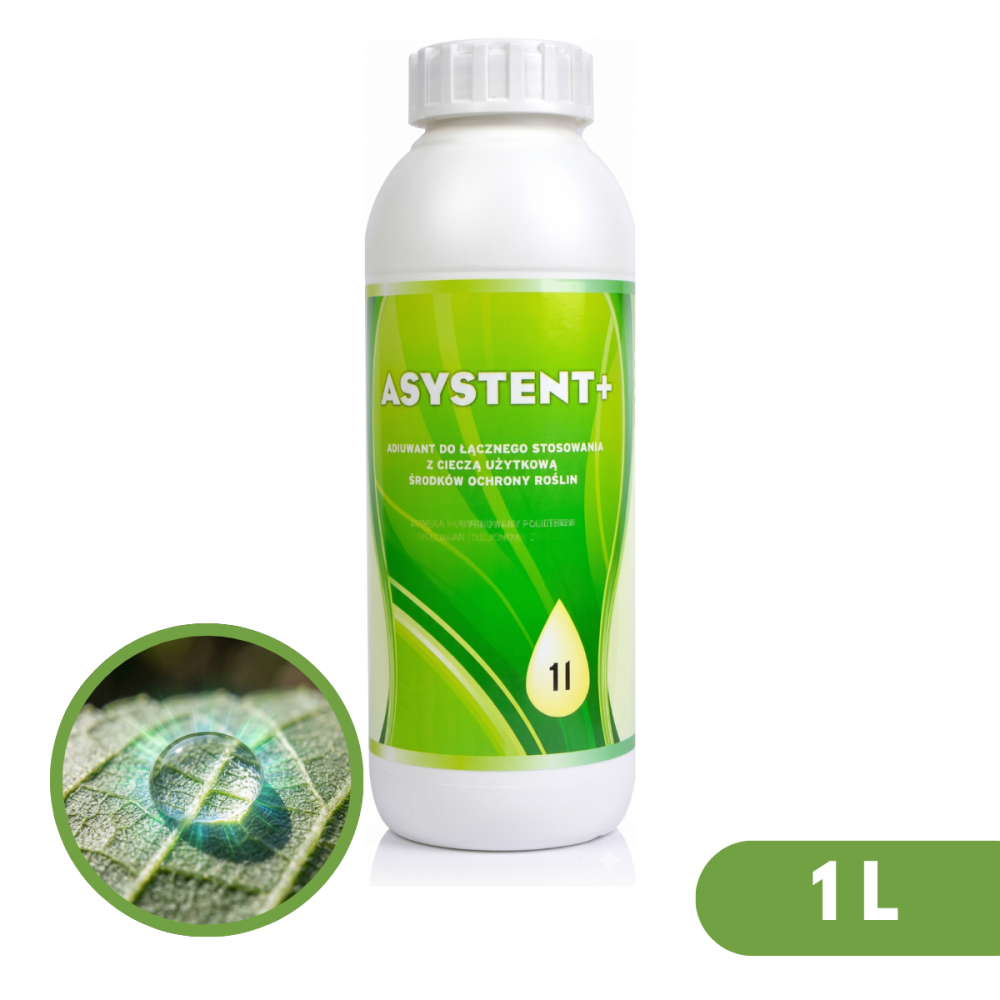 ASYSTENT + 1L