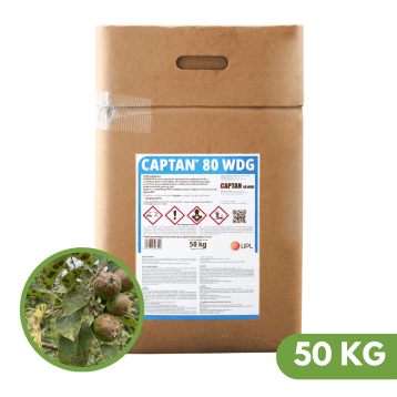 CAPTAN 80WDG 50 KG GRANULOWANY
