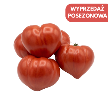 POMIDOR TUNELOWY DOSSIMO 250 NASION ST