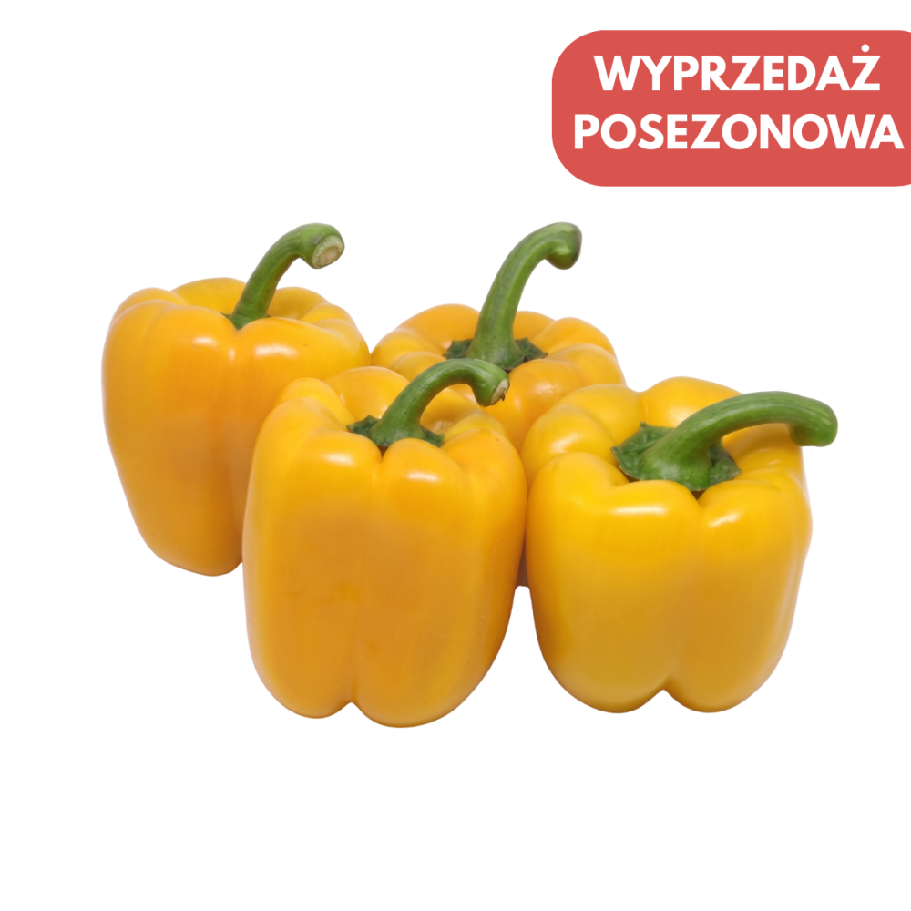PAPRYKA IVANCA 500 NAS ST