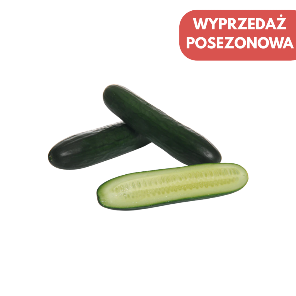 OGÓREK POD OSŁONY MIDI PHARO F1 500 NAS ST