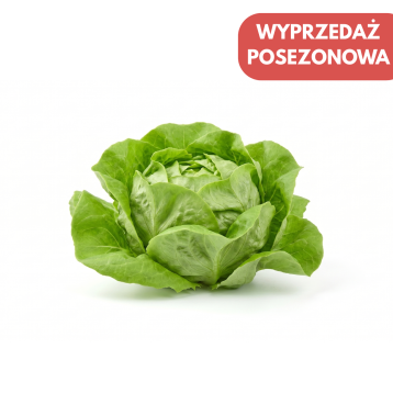 SAŁATA MASŁOWA OUISTITI OTOCZKA 5 TYS NAS ST