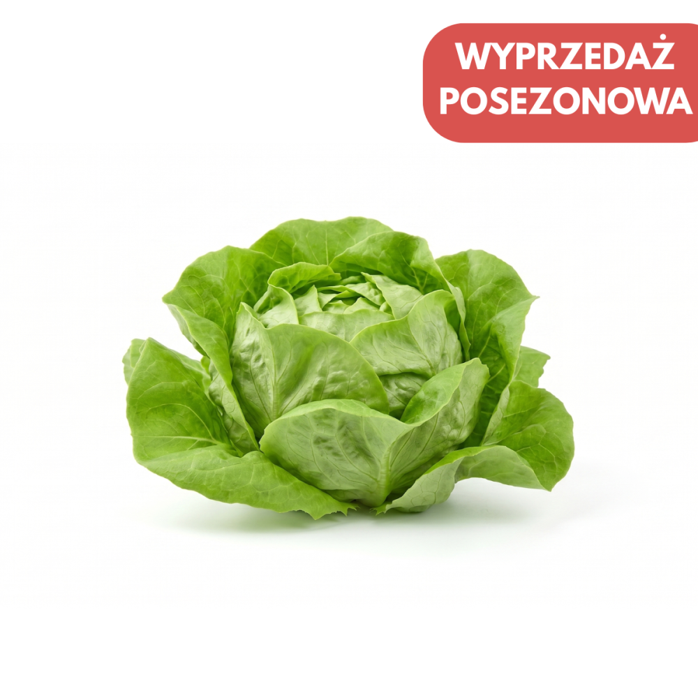 SAŁATA MASŁOWA OUISTITI OTOCZKA 5 TYS NAS ST