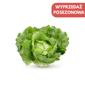 SAŁATA KRUCHA BERTRICE PODK. OTOCZKA 5 TYS ST
