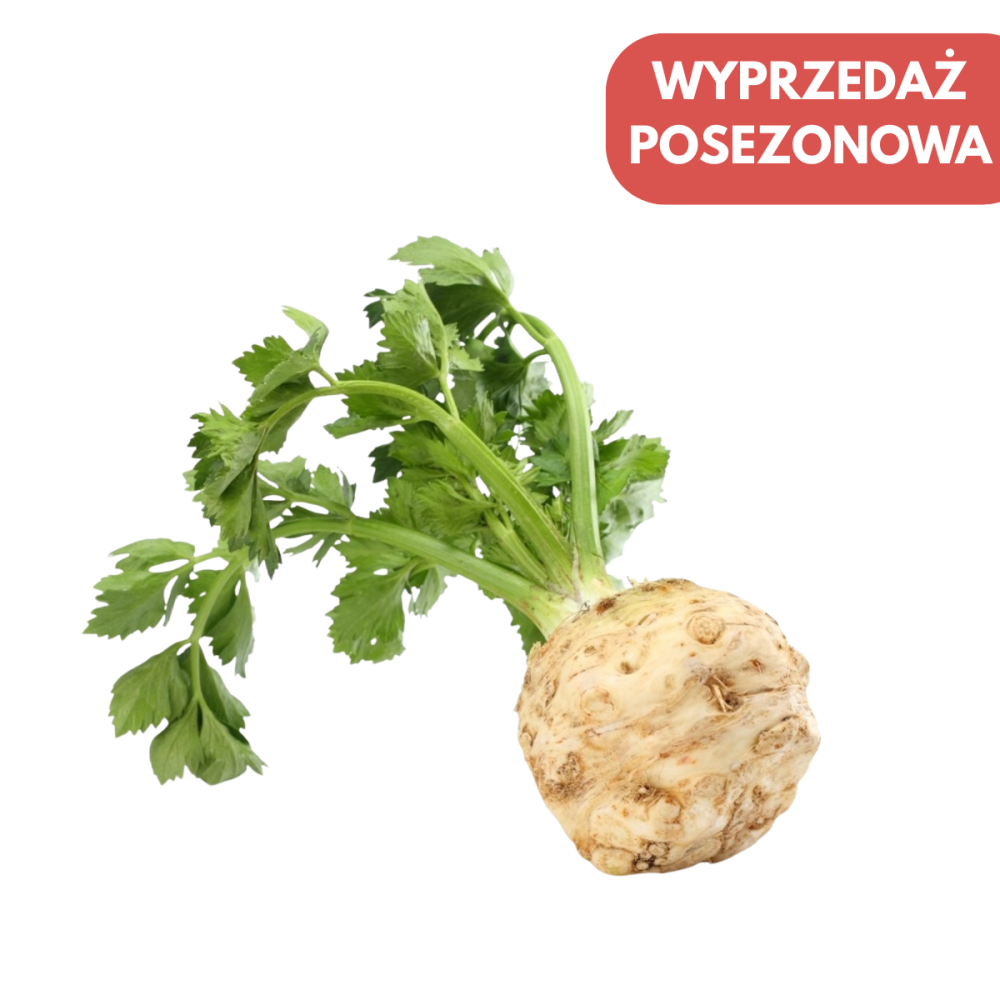 SELER KORZENIOWY MENTOR NOVISEM 10 TYS.