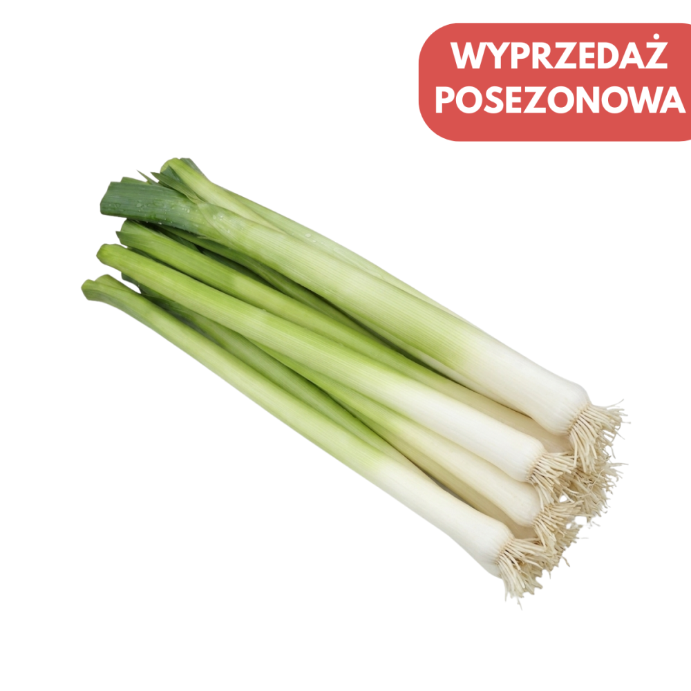 POR LINCOLN 10 TYS PRECYZYJNE PODKIEŁKOWANE