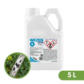 WEZEN 250EC 5L