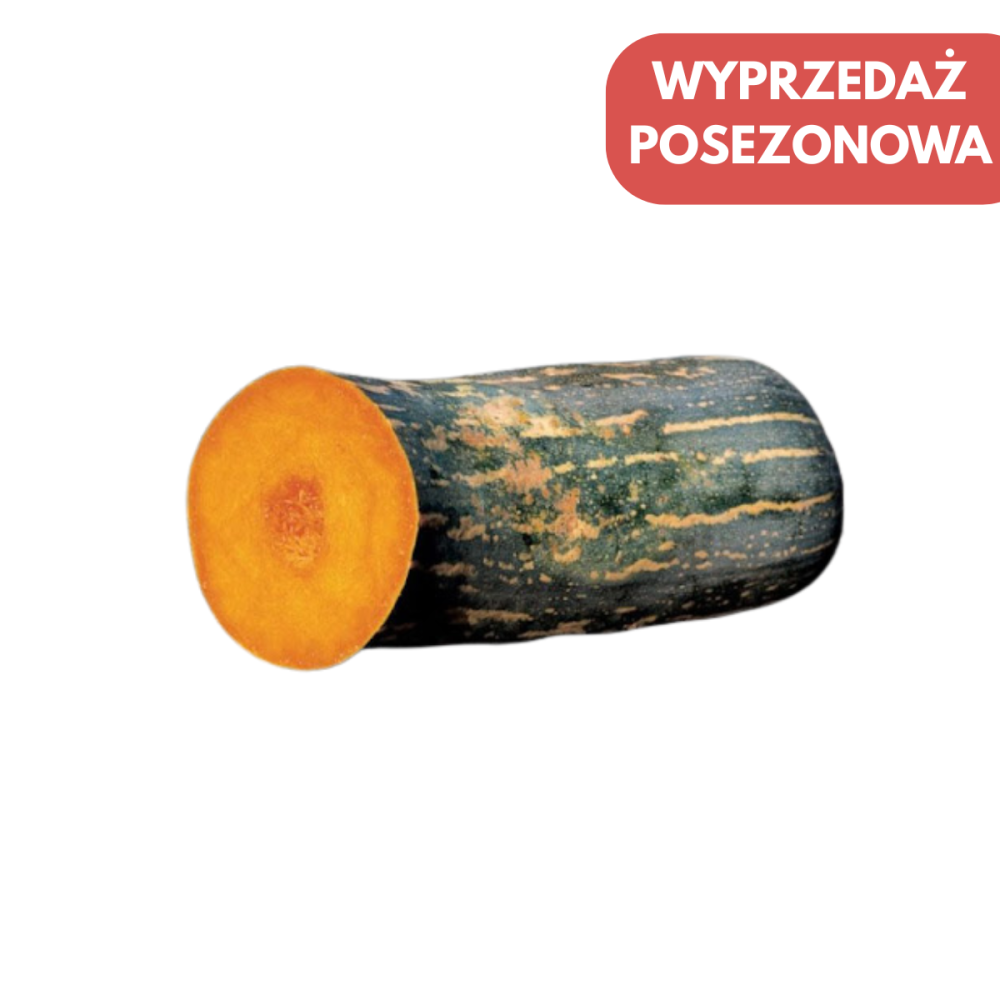 DYNIA VESUVIANA 100NAS
