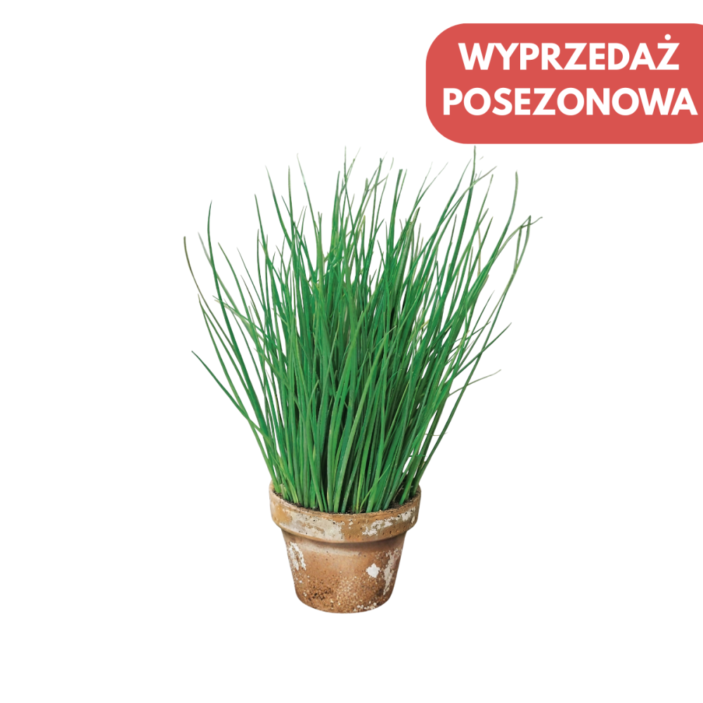 SZCZYPIOREK STARO 50 TYS NAS ST