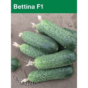 OGÓREK KONSERWOWY BETTINA F1 500 NAS