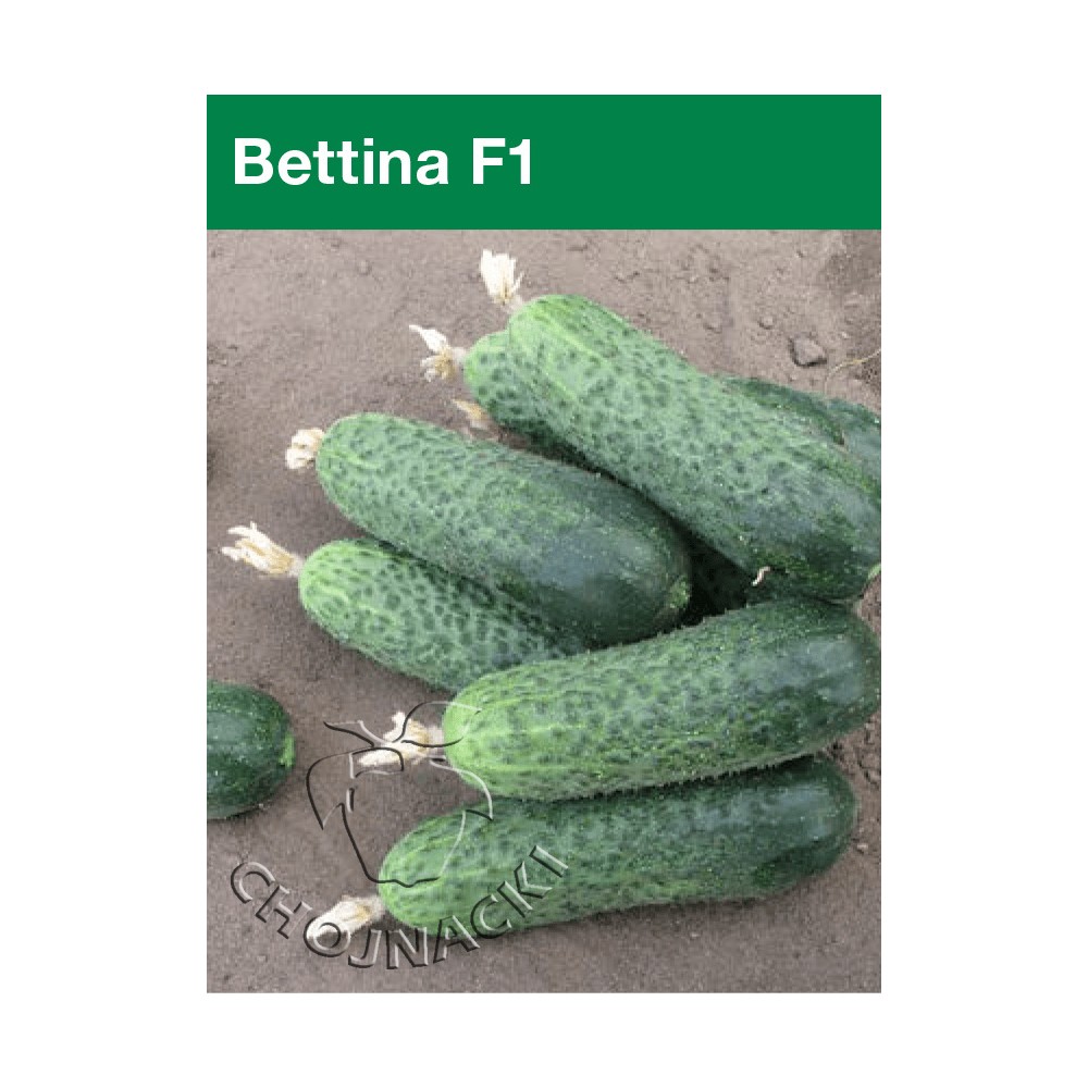 OGÓREK KONSERWOWY BETTINA F1 500 NAS