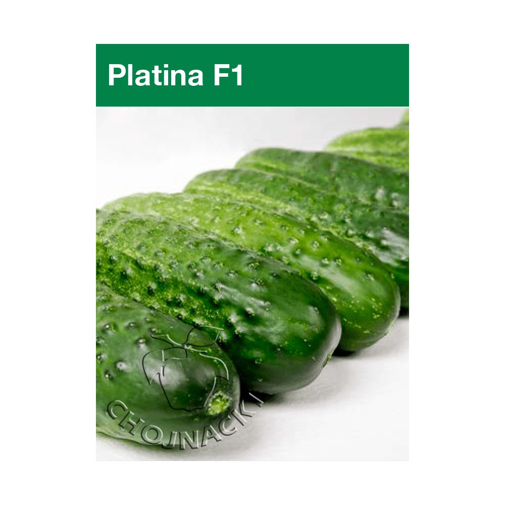 OGÓREK KONSERWOWY PLATINA F1 1 TYS